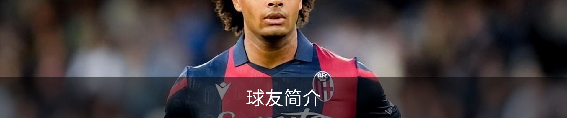 球友简介